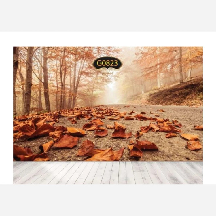 پوستر سه بعدی طرح و ابعاد دلخواه جنس هلندی پس کرایه